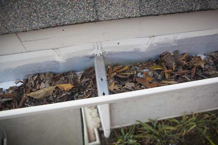 Gutters Filled with Leaves and Debris - K-Guard Heartland