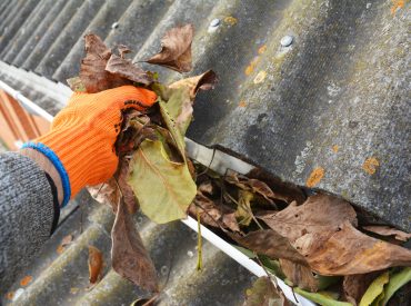 Cleaning Out Dead Leaves From Clogged Gutter