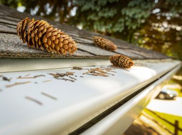 Pinecones On Top of Gutter Guard System - K-Guard Heartland