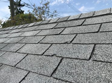 roof with hail damage