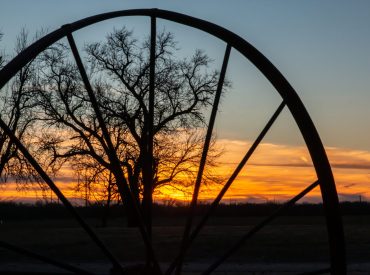 sunset-in-rural-kansas-with-trees-silhouettes-and-2022-11-10-08-51-56-utc